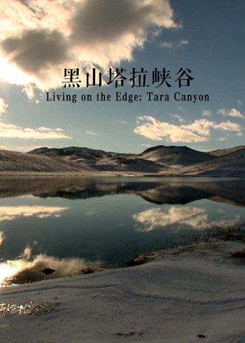 日本的小姑娘的一级片